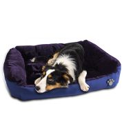 Dog Bed - Purple