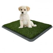 Dog Potty Patch 40cm x 50cm