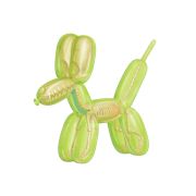 Balloon Dog Anantomy: Green